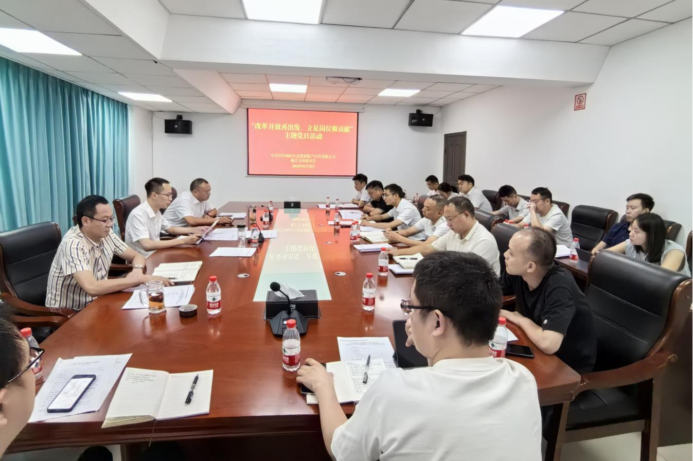 巴中兩山公司開展“改革開放再出發(fā)、立足崗位做貢獻”主題黨日活動